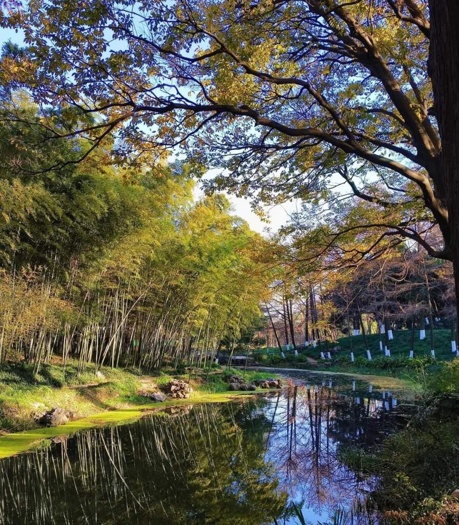 lac xuanwu nanjing