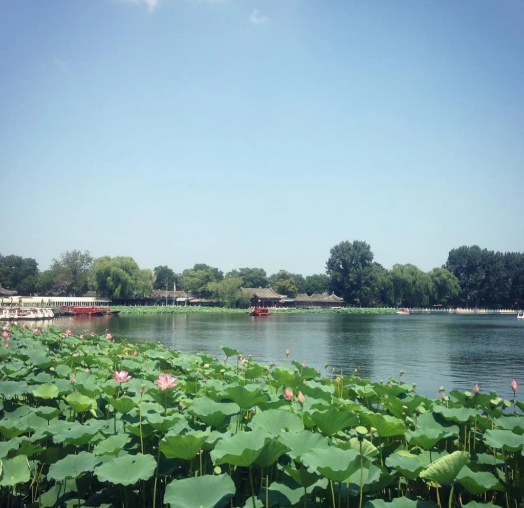 Yuanmingyuan jardin Clarté parfaite