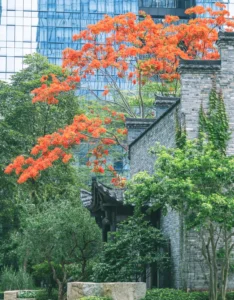 Nanshan Mountain