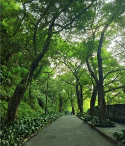 Parc Yuexiu