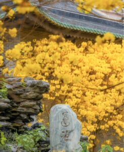 Temple Guangxiao