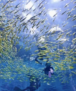 Xiaomeisha Sea World chine