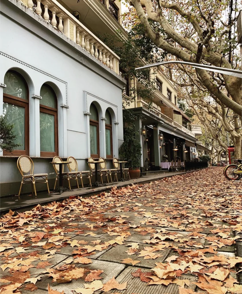 Façades et trottoir couverts de feuilles mortes dans la Concession française de Shanghai