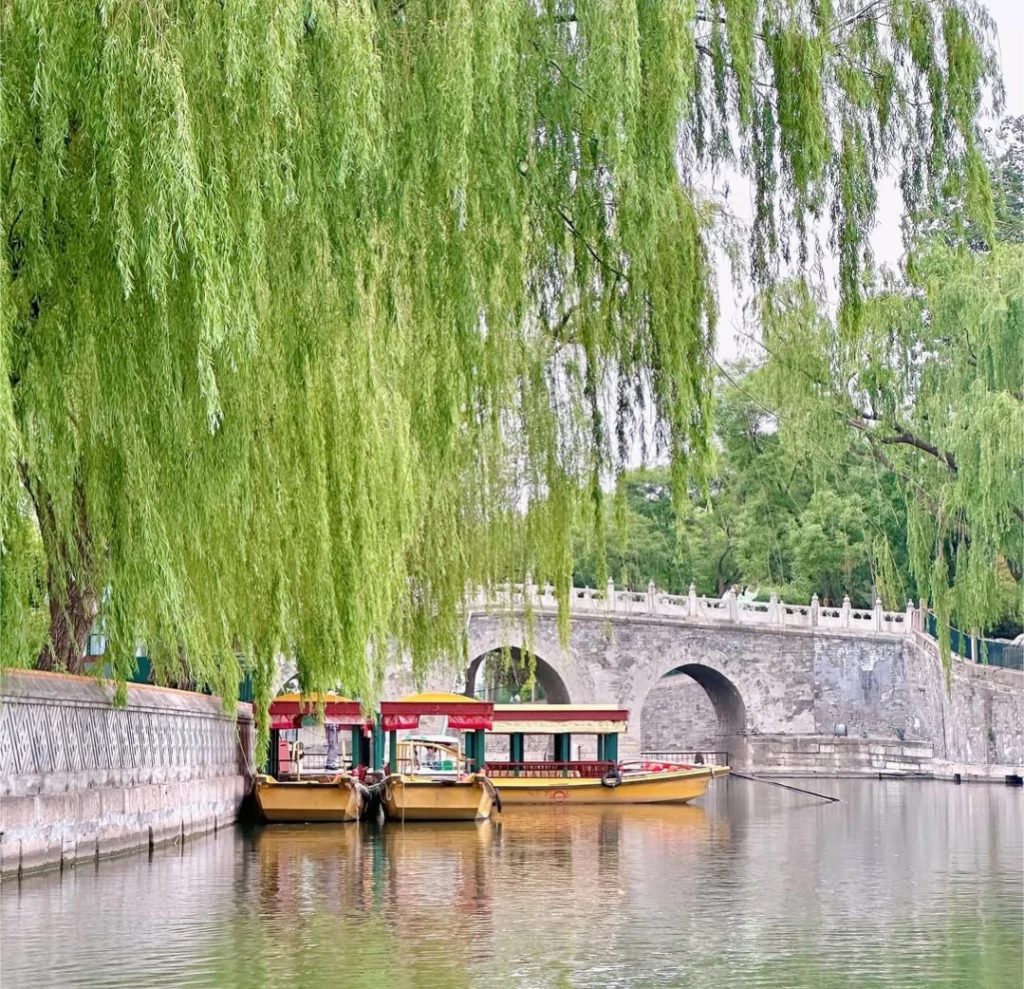 Saules, pont de pierre et barques sur le lac du Parc Beihai à Pékin