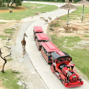 Safari Park guangzhou canton