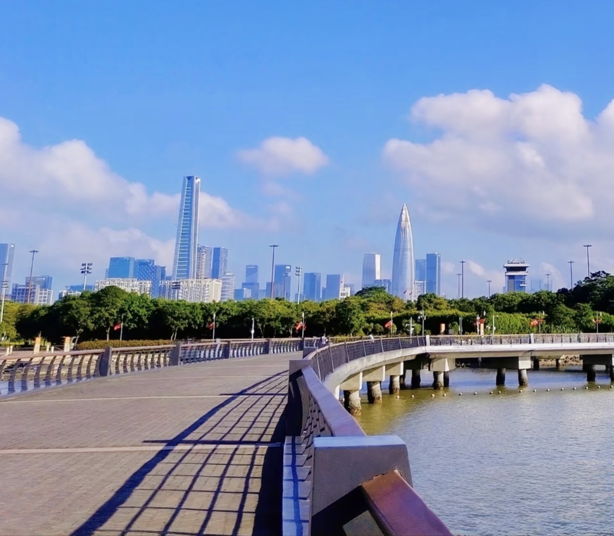 shenzhen bay park