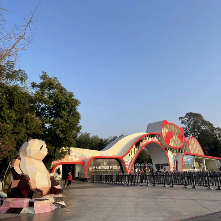 Base des pandas géants