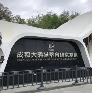centre recherche panda chengdu chine