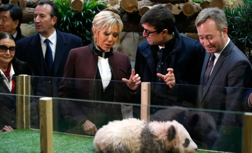 diplomatie panda brigitte macron france chine