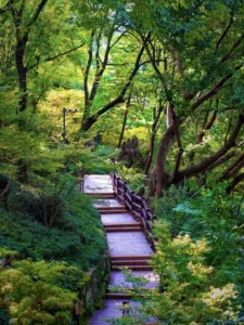 parc du peuple chengdu