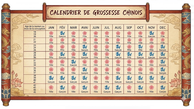 CALENDRIER DE GROSSESSE CHINOIS