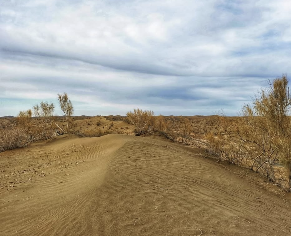 Désert de Gurbantunggut