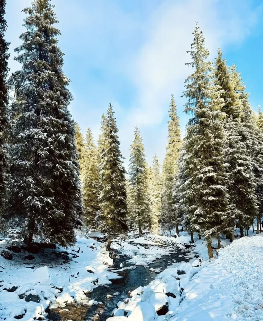 Pâturages de Nanshan