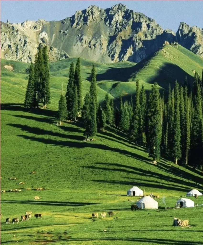 Pâturages de Nanshan