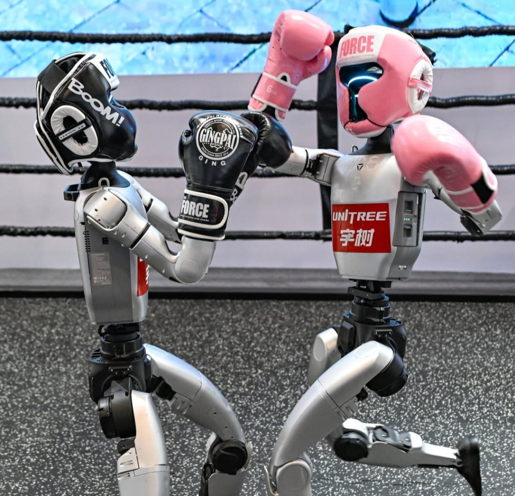 combat de boxe entre deux robots unitree