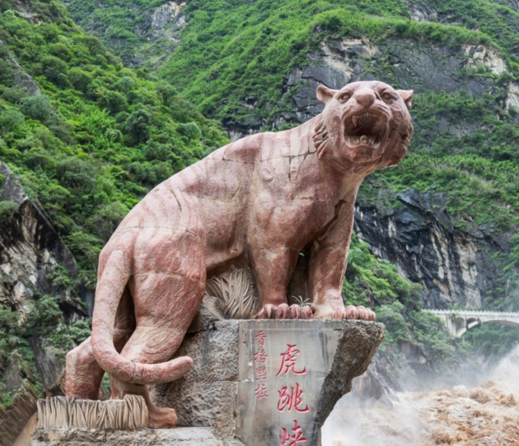 statut de tigre sur la route de tiger leaping gorge