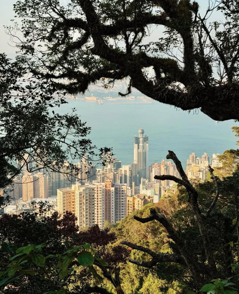 vue forestière depuis victoria peak