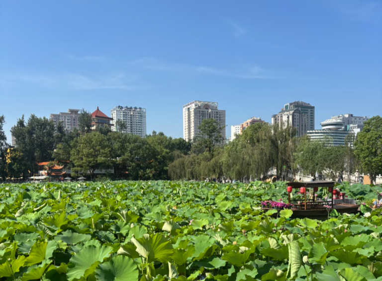 Parc du Lac Vert Kunming