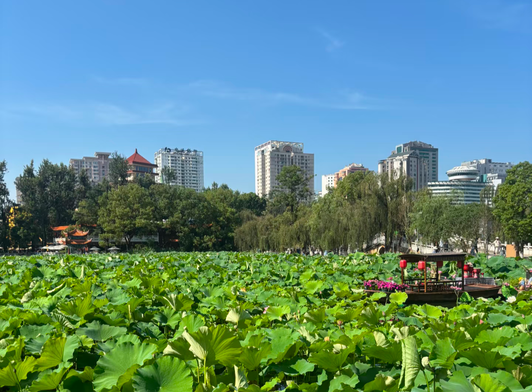 Parc du Lac Vert Kunming