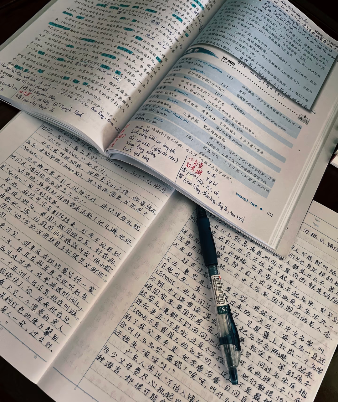 ecriture chinoise