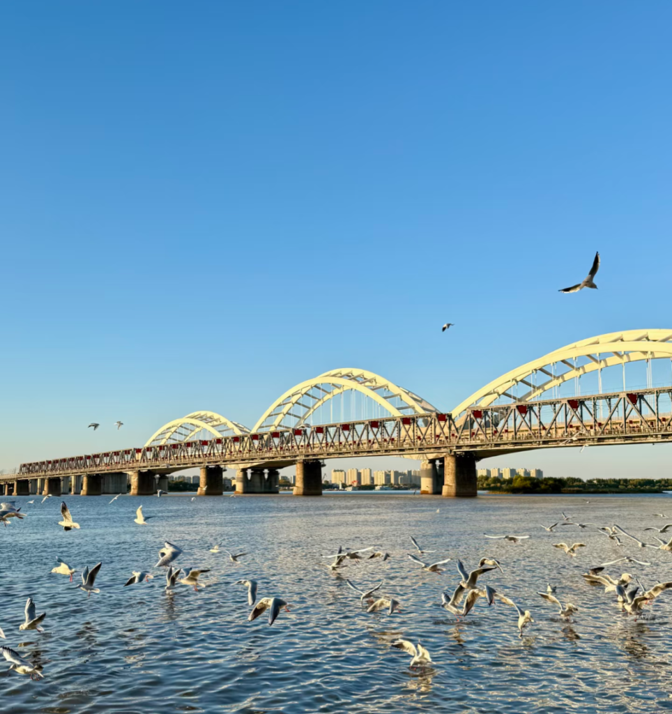 fleuve songhua harbin monument des crues