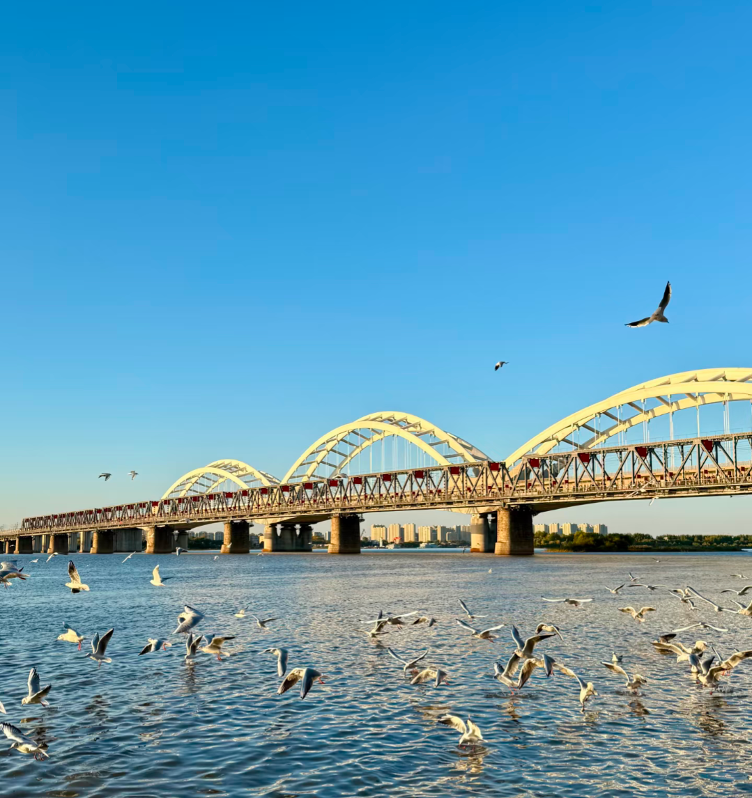 fleuve songhua harbin